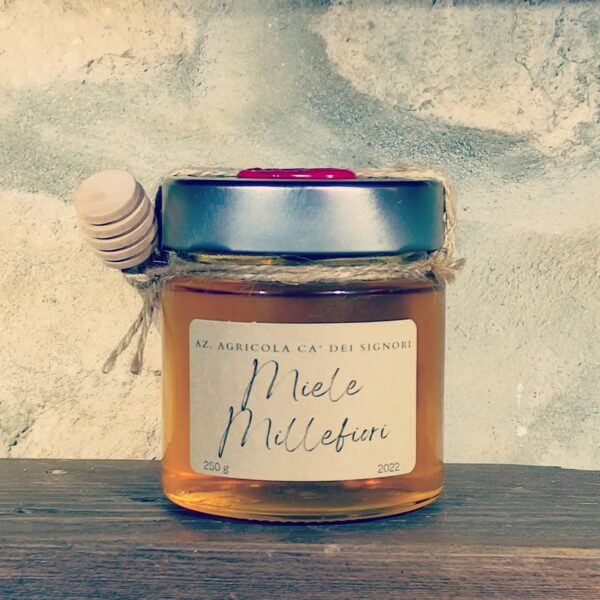 Miele millefiori - immagine 6