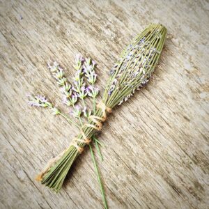 Fusi di lavanda