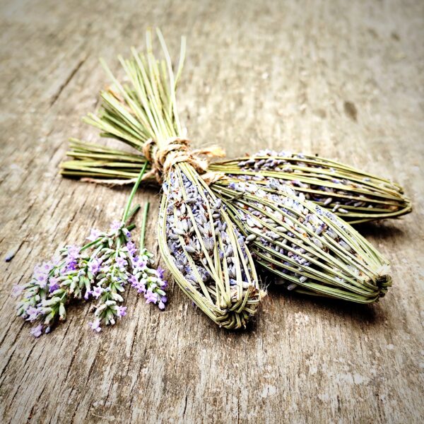 Fusi di lavanda - immagine 2