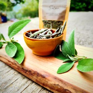 Salvia essiccata