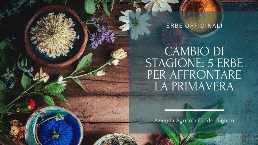cambio di stagione