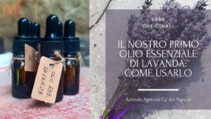 Il nostro primo olio essenziale di lavanda: come usarlo