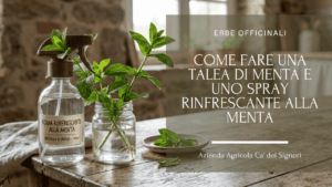 Come fare una talea di menta e uno spray rinfrescante alla menta
